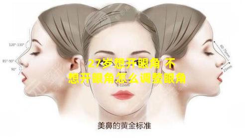 27岁想开眼角 不想开眼角怎么调整眼角